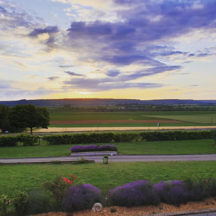Logis Hotel- Restaurant La Haie Des Vignes Seminaires Et Evenementiel Allain Eksteriør bilde